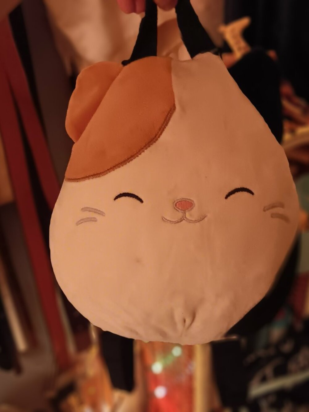 Squishmellows backpack with zipper pouch in back